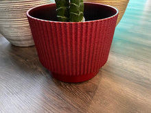 Plant Pot in Date Red for Plants and Trees