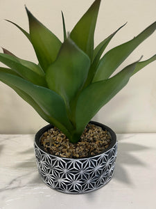 plant flower pot 