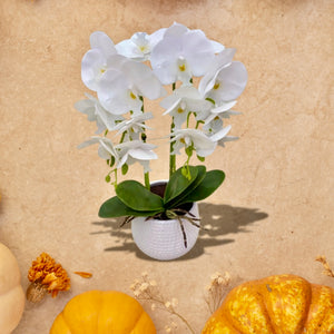 Plant Pot White Artificial Orchid Flower Pot Floral Real Look Plant Real Touch with White Ceramic Flower Planter