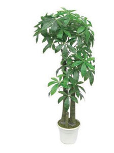 Tree Artificial Fortune Tree 65" inch Large Indoor or Outdoor Plant Home Décor UV Protected Faux Tree with BLACK Pot