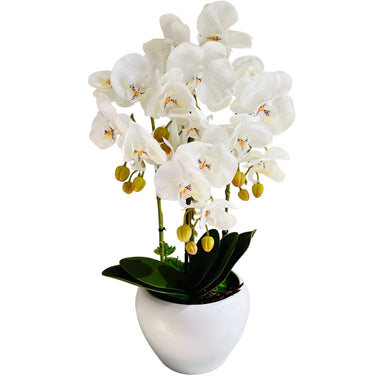 Plant Pot Artificial Floral Real Look Plant Real Touch White Flower Ceramic Planter with Attached Plate
