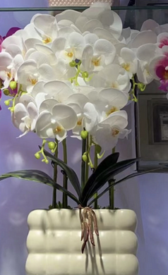 Plant Pot White Artificial Orchid Flower Pot Floral Real Look Plant Real Touch with White Ceramic Flower Planter