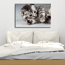 High Quality Art Print on Stretched Canvas of Cat