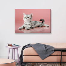 High Quality Art Print on Stretched Canvas of Cat