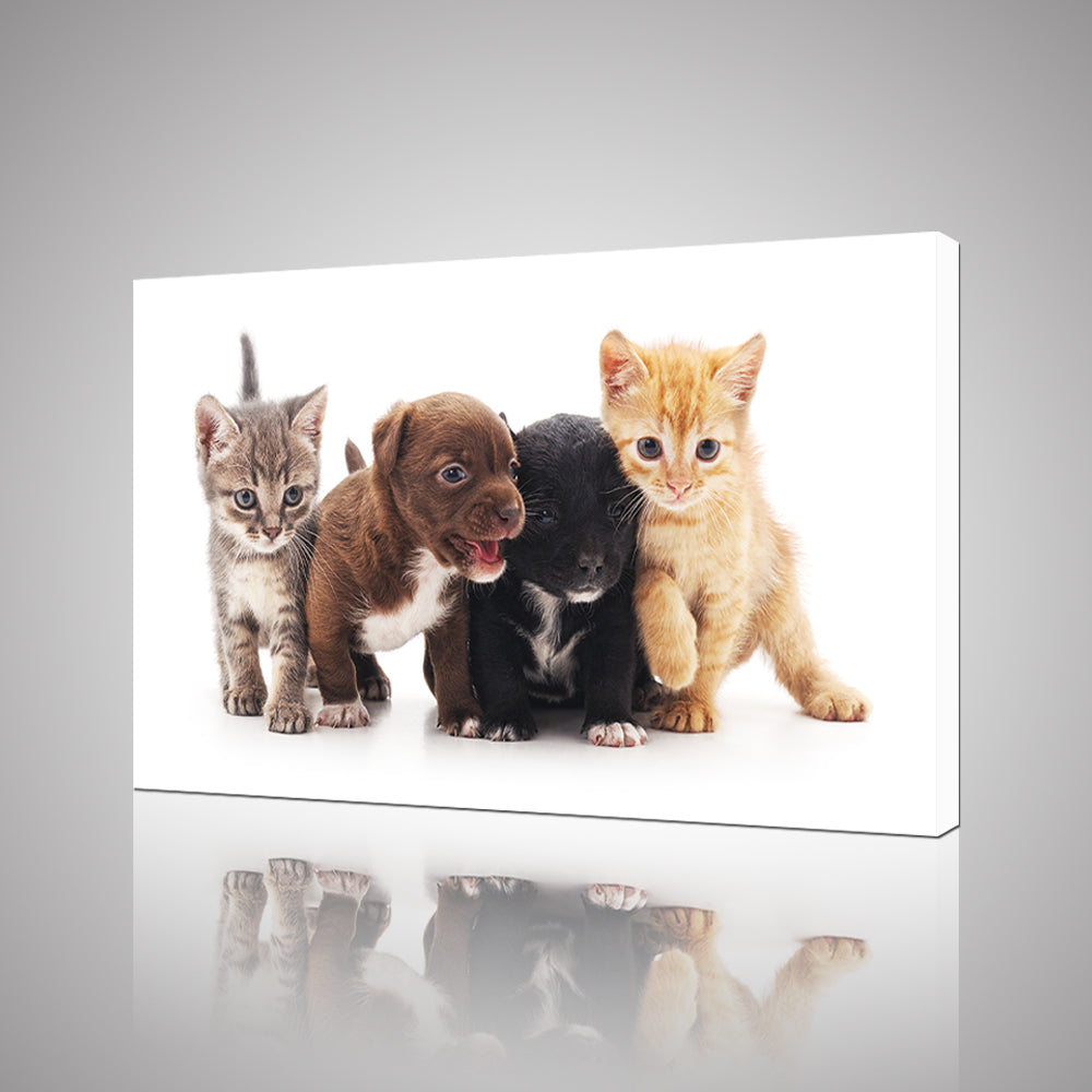 High Quality Art Print on Stretched Canvas of Puppies & Cats