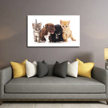 High Quality Art Print on Stretched Canvas of Puppies & Cats
