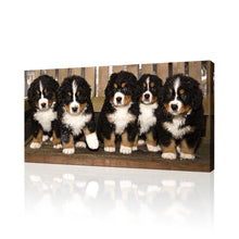 High Quality Art Print on Stretched Canvas of Puppies