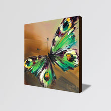 Handmade Oil Painting on Stretched Canvas of a Butterfly