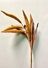 Real Flower Stem Dried Floral Branches Multi Colors for Home Decor