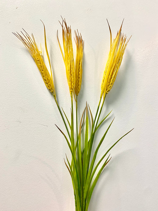 Long Stem Wheat Stem Branches in Green & Yellow Wheat Flower for Home Decor in Multi Color